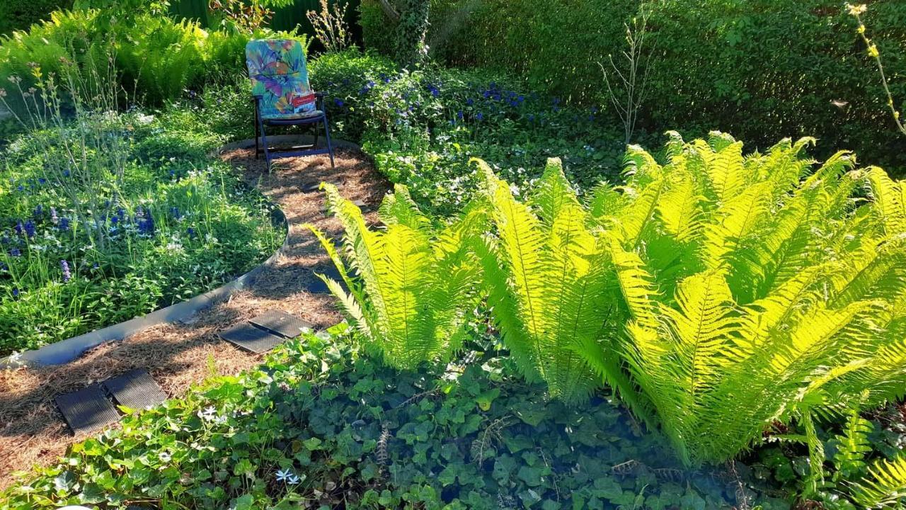 Mitten Im Seenland Und Spreewaldnah, Schoener Garten Storkow  Εξωτερικό φωτογραφία