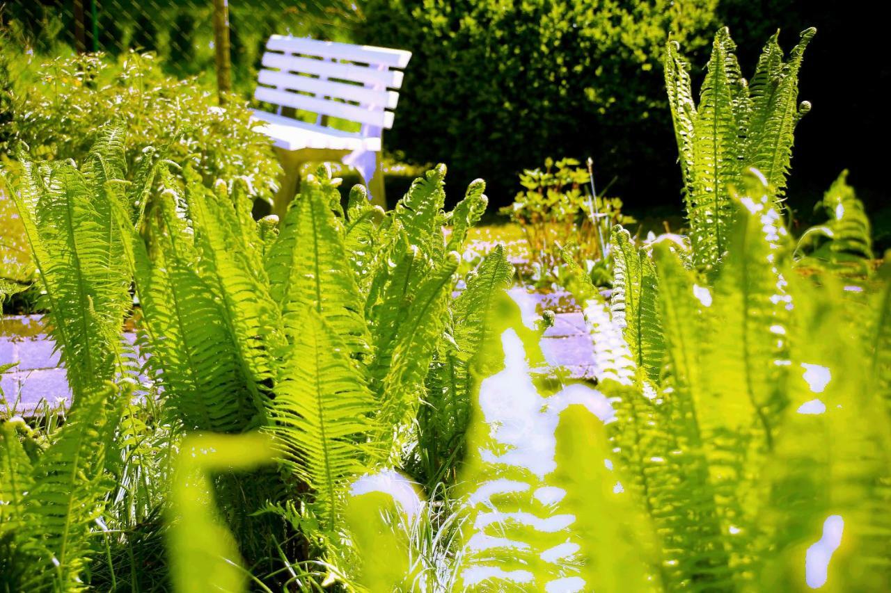 Mitten Im Seenland Und Spreewaldnah, Schoener Garten Storkow  Εξωτερικό φωτογραφία