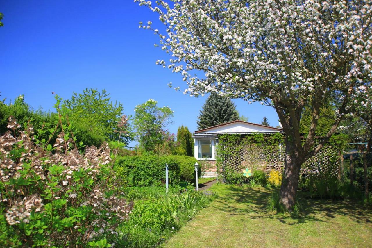 Mitten Im Seenland Und Spreewaldnah, Schoener Garten Storkow  Εξωτερικό φωτογραφία